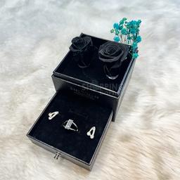 visa